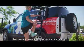 Land Rover 2021 DEFENDER SERVICE AWARD WINNERS