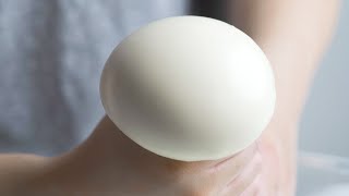 这 不 是 馒 头 ！