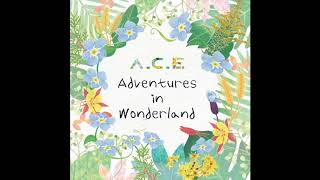 에이스 (A.C.E) - Take Me Higher [MP3/Audio]