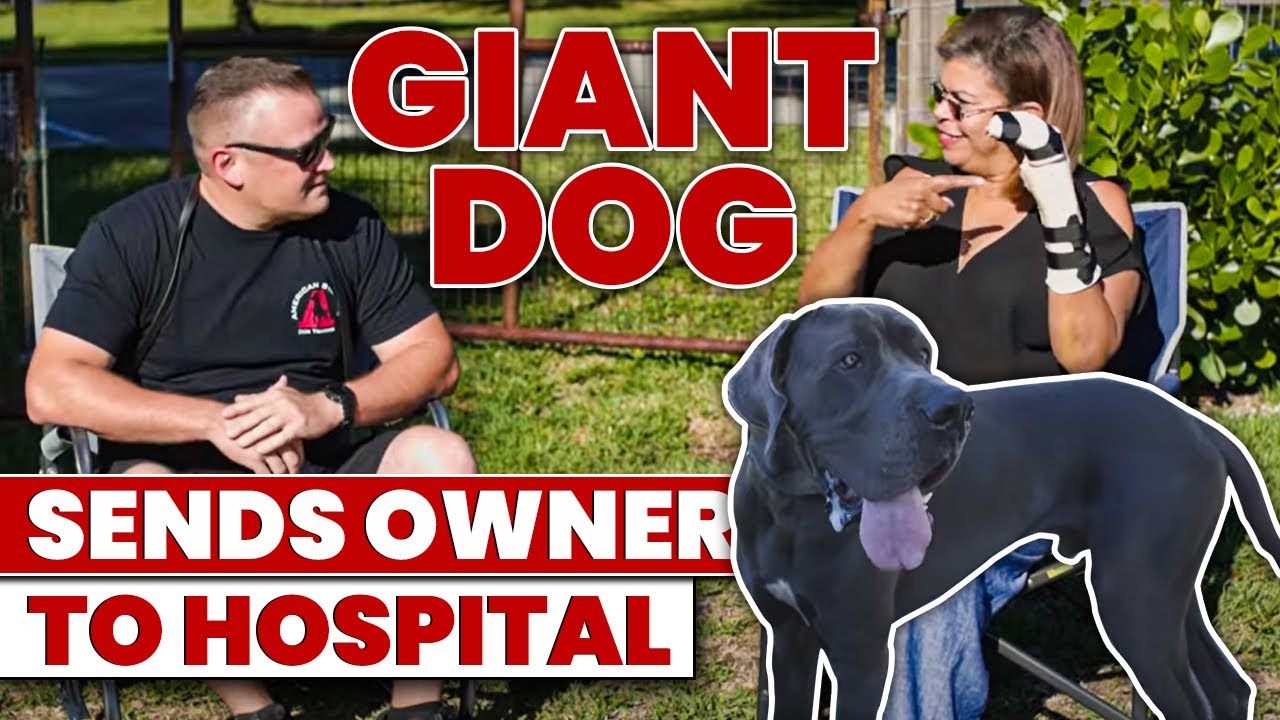GIANT DOG BROKE HER ARM! HOW WE FIX THE DOG!