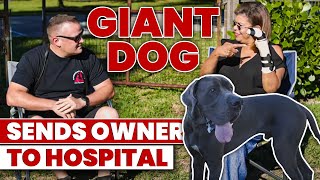 GIANT DOG BROKE HER ARM! HOW WE FIX THE DOG!