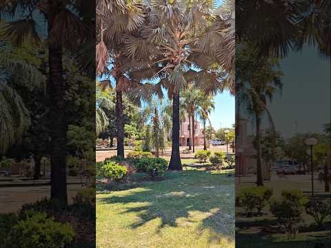 Fui procurar a tranquilidade e encontrei | Praça central de Ipuã - SP