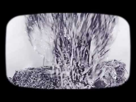 The Deadly Gentlemen - "Bored of the Raging" (Official Video)