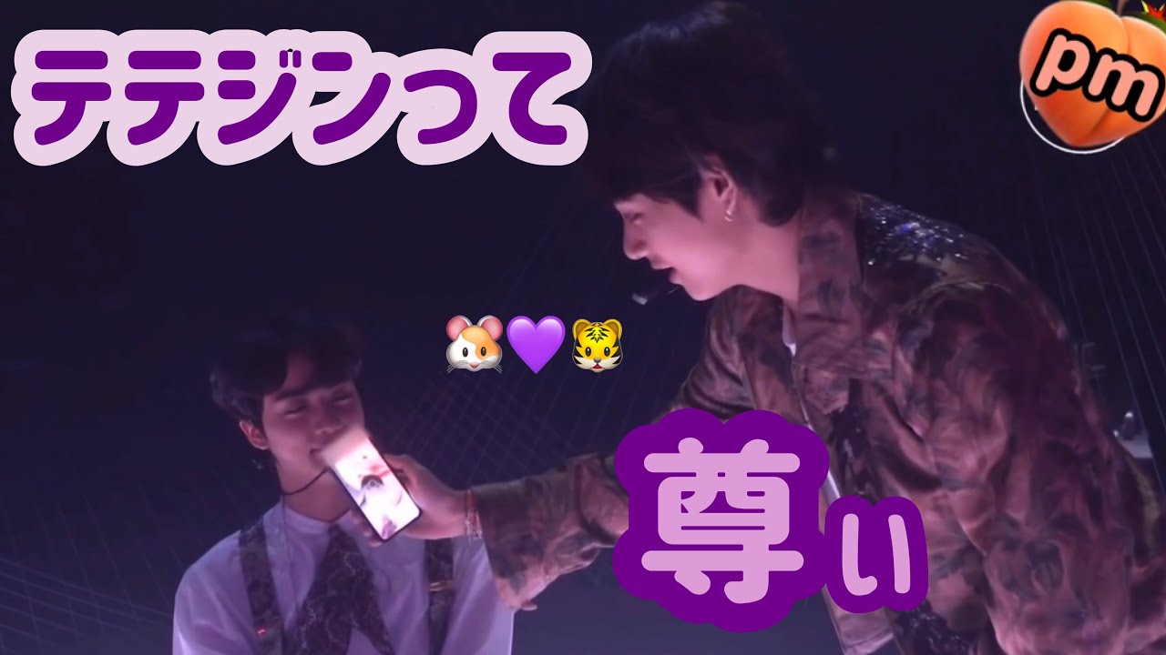 【防弾少年団/BTS】どうしてこんなに尊いの、、テテジンモーメント🐹🐯【日本語字幕】