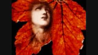 FUNERAL(Nor) - Taarene