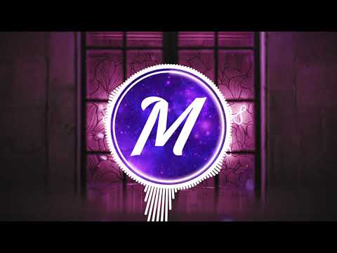 International Show - Tap In