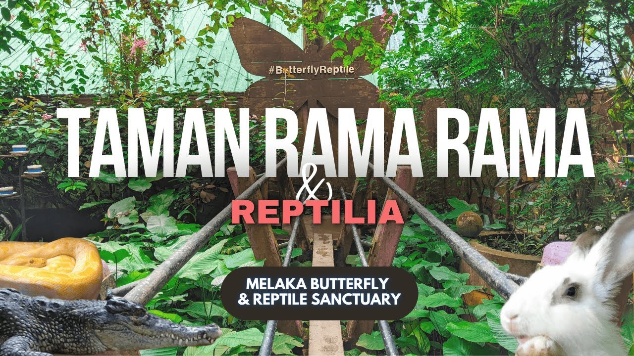 Embark on a captivating virtual tour of Malacca Butterfly & Reptile Sanctuary.