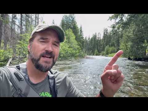 How to cross a river without DYING