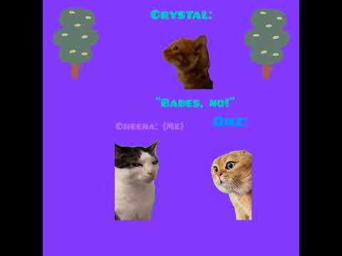 CAT MEMES 🐱 Me keeping Omz with Crystal and won't let him go to a girl-like friend