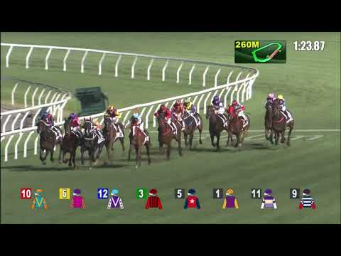 18/5/2022 (680) Loyal Baby -  Matthew Chadwick