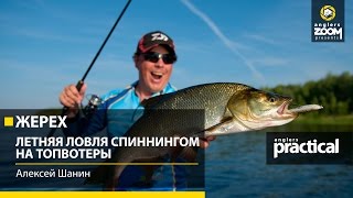 Ловля жереха спиннингом на поверхностные приманки