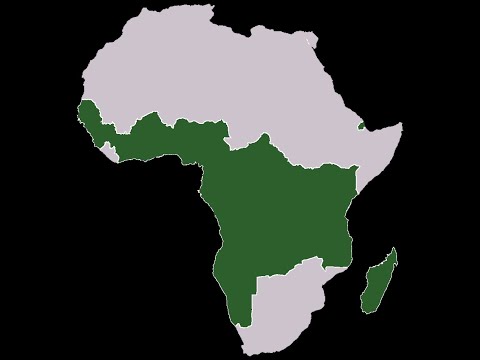 Anglo-German Rivalry before WW1 [Naval Arms Race & German War Aims]