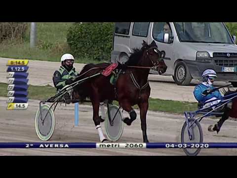 Aversa trotto 4 Marzo 2020 - 2° Corsa