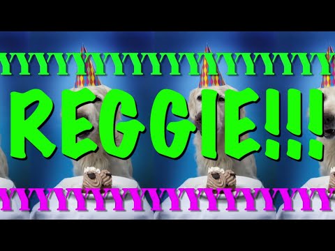 HAPPY BIRTHDAY REGGIE! - EPIC Happy Birthday Song