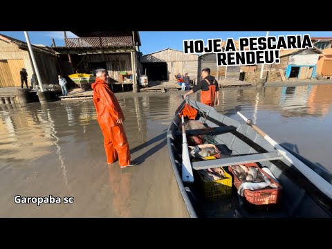 17/07/26 ACOMPANHANDO A PESCARIA DA GALERA NA PRAIA CENTRAL DE GAROPABA SC 
