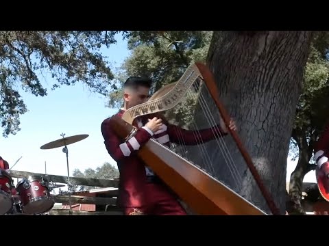 Arpeños De Emmanuel Ortega - 18 libras