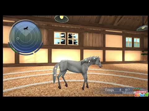 Vidéo Ma Vie Avec les Chevaux