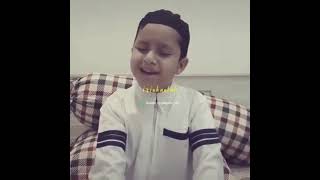 Download lagu Story wa sholawat terbaruu!!   'Innal habibal musthofa'  cover (M. Hadi assegaf ) mp3