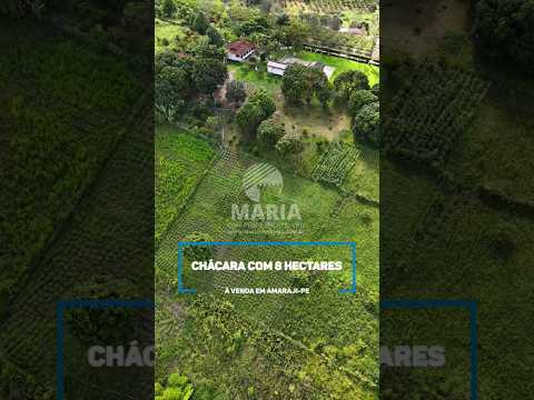 CHÁCARA COM 8 HECTARES À VENDA EM AMARAJI-PE #imobiliária