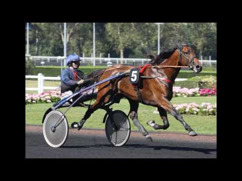 Pronostic quinté 21/02/2017 - Vincennes -  Prix du Chesnay