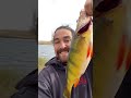 Video Thumbnail for Insane Ways To Catch Big Perch!