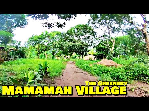 THE GREENERY OF MAMAMAH VILLAGE - 🇸🇱 Roadtrip 2023 - Explore With Triple-A