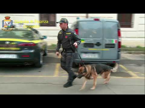 Grosseto: Operazione Free Park della Guardia di Finanza