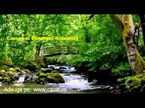 Cazare Blebea, Neamt - Cazat.ro