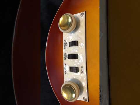 Hofner Ignition Violin Bass (Sunburst) w/ Upgrades & Hard Case image 21