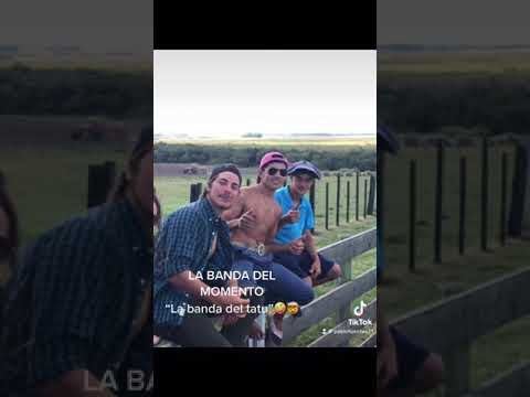 ATR EL TATU BIEN PELUDO😂