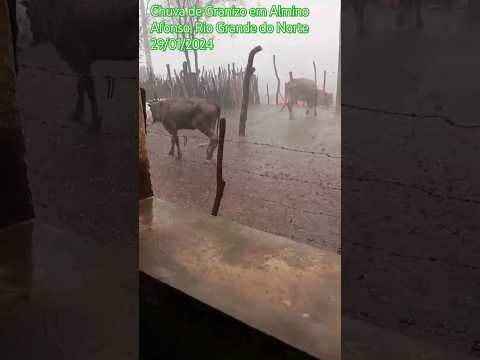 🇧🇷 CHUVA DE GRANIZO EM ALMINO AFONSO, RIO GRANDE DO NORTE 29/01/2024