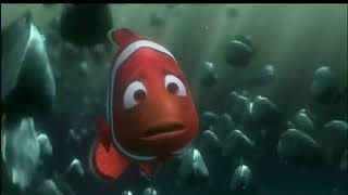 Finding Nemo (2003) Nemo Returns To Marlin