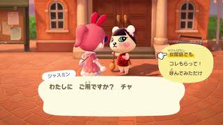 チャームポイント【あつ森】