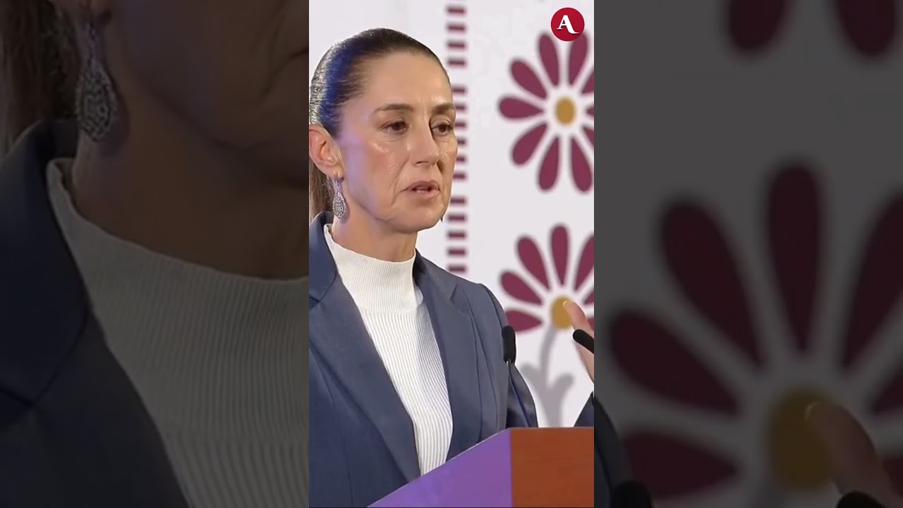 Sheinbaum sobre presuntas relaciones de la familia Zedillo y Calderón con el narco