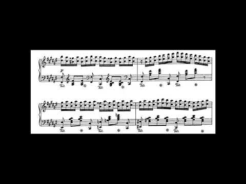 [Sophie Menter] Etude Op.8 (Score-Video)