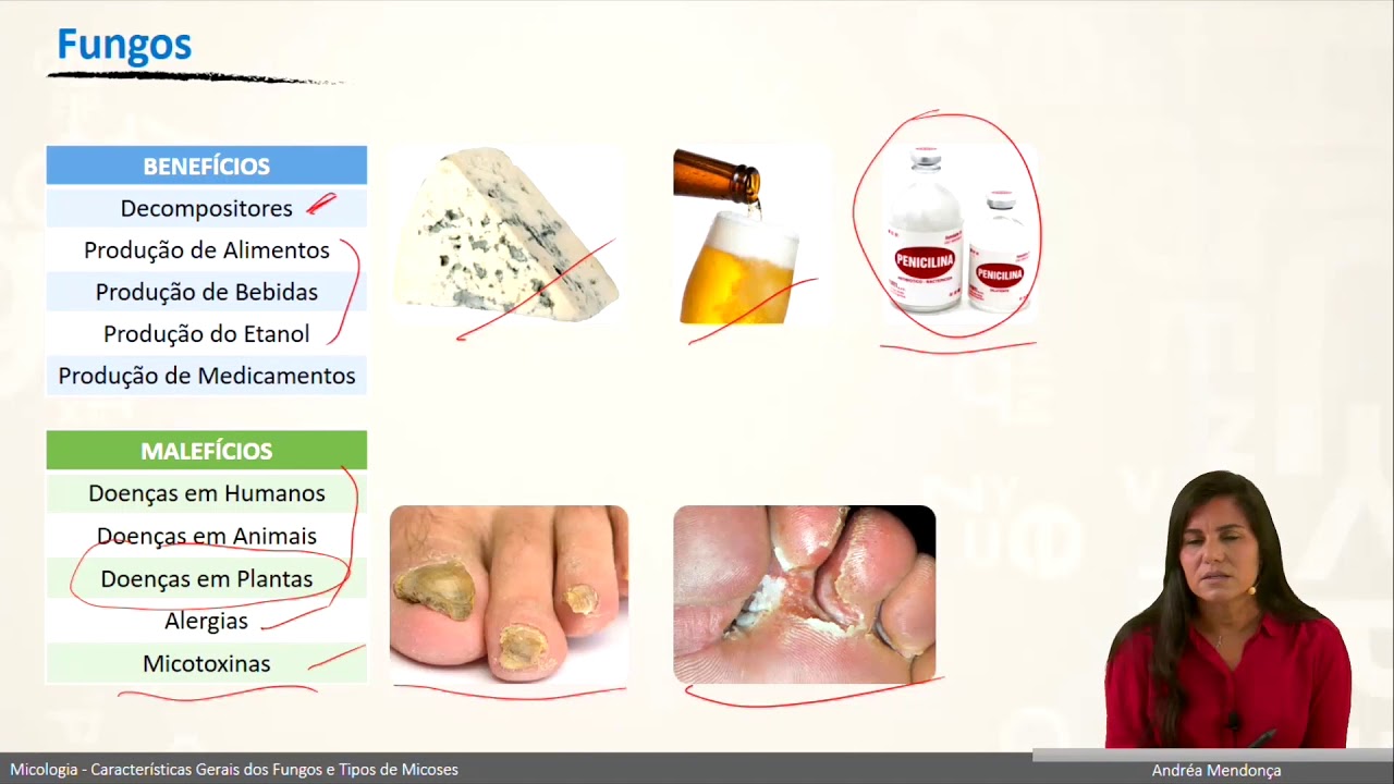 Micologia - Características Gerais - Professora Andréa Mendonça
