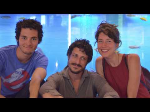 Alright Gandhi Baltics Tour Day 6 - Illusion