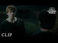 Harry Tries To Leave The Burrow Harry Potter And The Deathly Hallows Pt 1