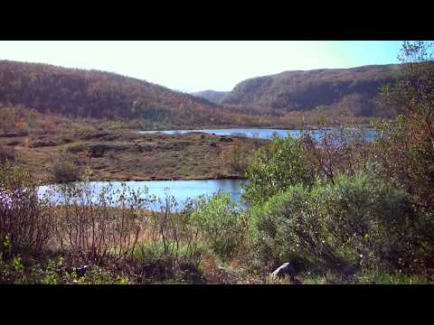 Ringvassøy - GuideGunnar's Camp Aurora