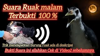 Download lagu Suara PIKAT RUAK MALAM Terbukti 100%  | waterhen sound | night bird sound | voice chim quock 100 mp3