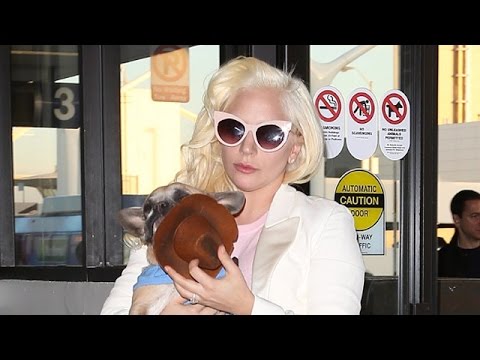 X17 EXCLUSIVE: Lady Gaga Goes Pink And White For The Holidays