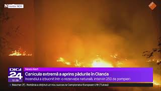 🟣 Știrile Digi24 de la ora 12 - 4 august 2026