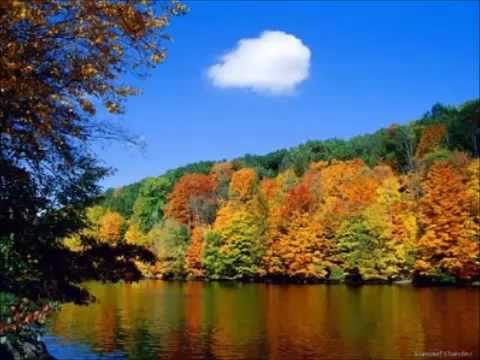 Day By Day - Andy Williams