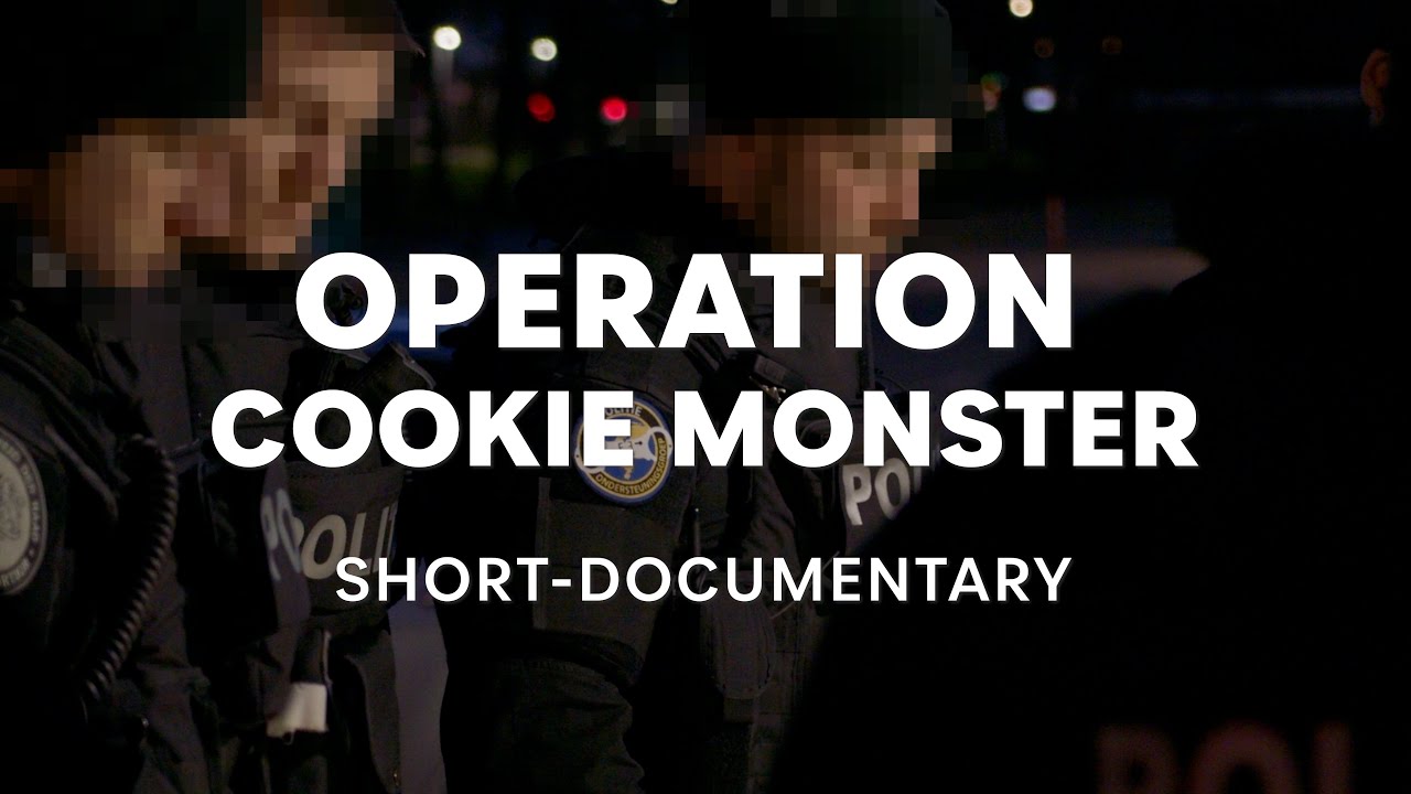The story behind the international cybercrime investigation - Operation Cookie Monster (English)