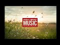 Mysteries Dan Lebowitz Country N Folk NO COPYRIGHT MUSIC Relax Country Song