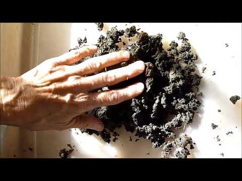How to Worm Compost When Too Wet