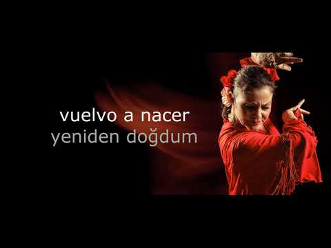 Radio Tarifa | Sin Palabras-Türkçe Ve İspanyolca Şarkı Sözleri Lyrics