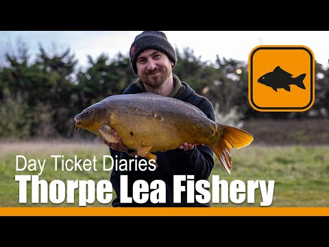Thorpe Lea, Day Ticket Diaries - Ben Steger - Carp Fishing