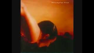 Porcupine Tree - This long Distance