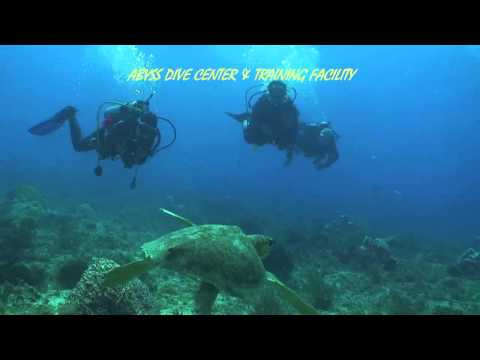 Scuba Diving Tortugas Reef, Playa del Carmen